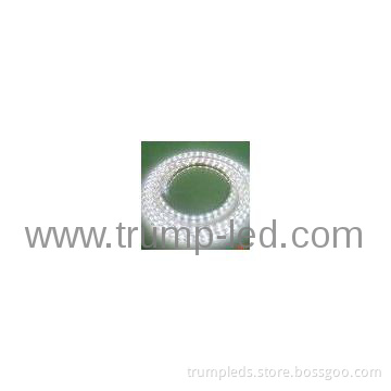 2013 new products hottest high voltage led strip